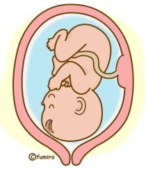赤ちゃん.jpg