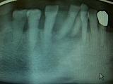 s-CIMG6600.jpg
